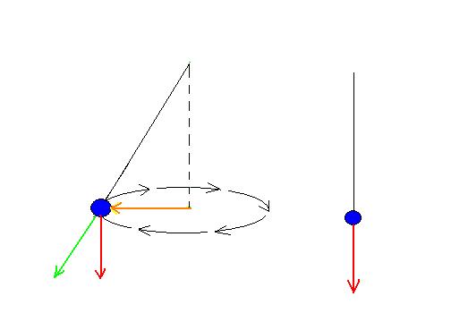 centripetal force while surfing