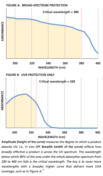 sun absorbtion uv rays