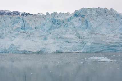 melting ice caps surfing